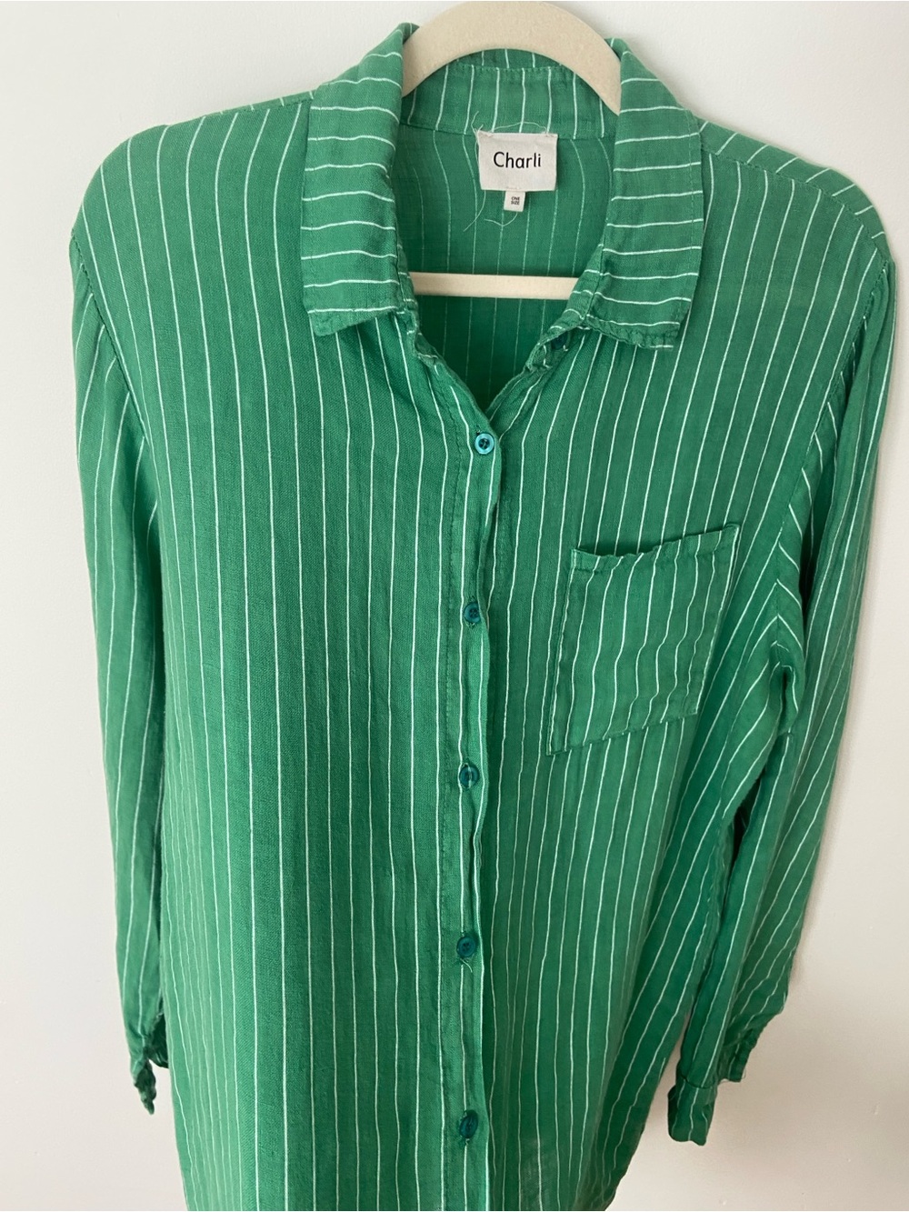 Charli Linen Provence Button Up Shirt in Green One Size Oversized - Picture 4 of 11